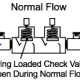 Double Check Valve