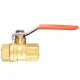 Fnpt Valve