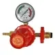 Gas Regulator