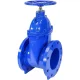 Gate Valve 8