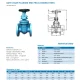 Gate Valve Arita