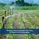 Máy bơm cho hệ thống tưới nhỏ giọt