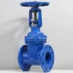 Sản phẩm van cổng D50