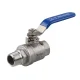 Stainless Steel Water Valve