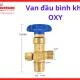 Van Khoá Bình Oxy