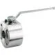 Wafer type ball valve