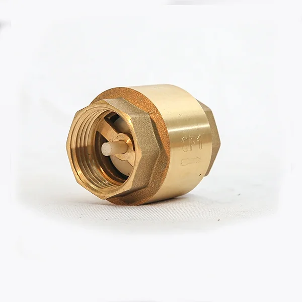 1 Way Valve2