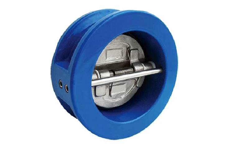 Hình ảnh van một chiều cánh bướm