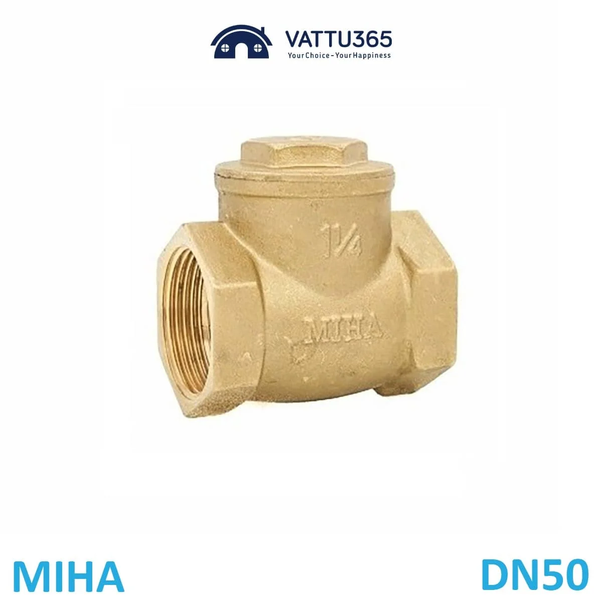 Hình ảnh van một chiều DN50