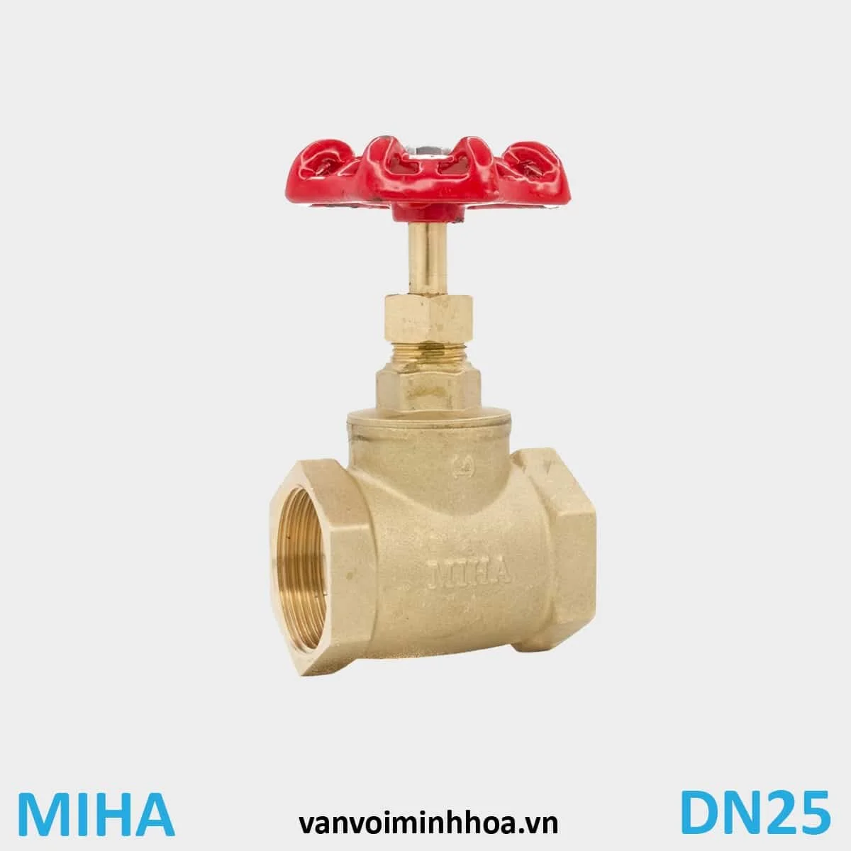 Hình ảnh van cầu kích thước DN25