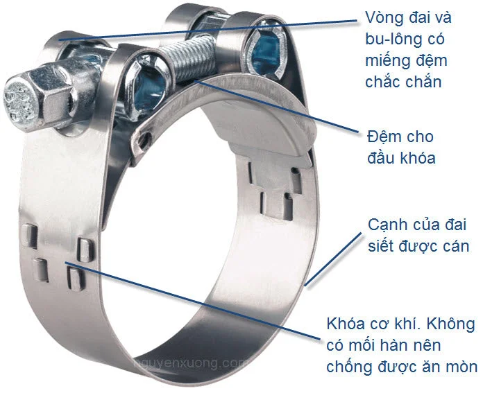 Hình ảnh tham khảo