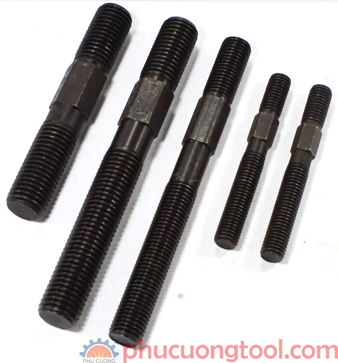 Với cấu trúc đặc biệt
