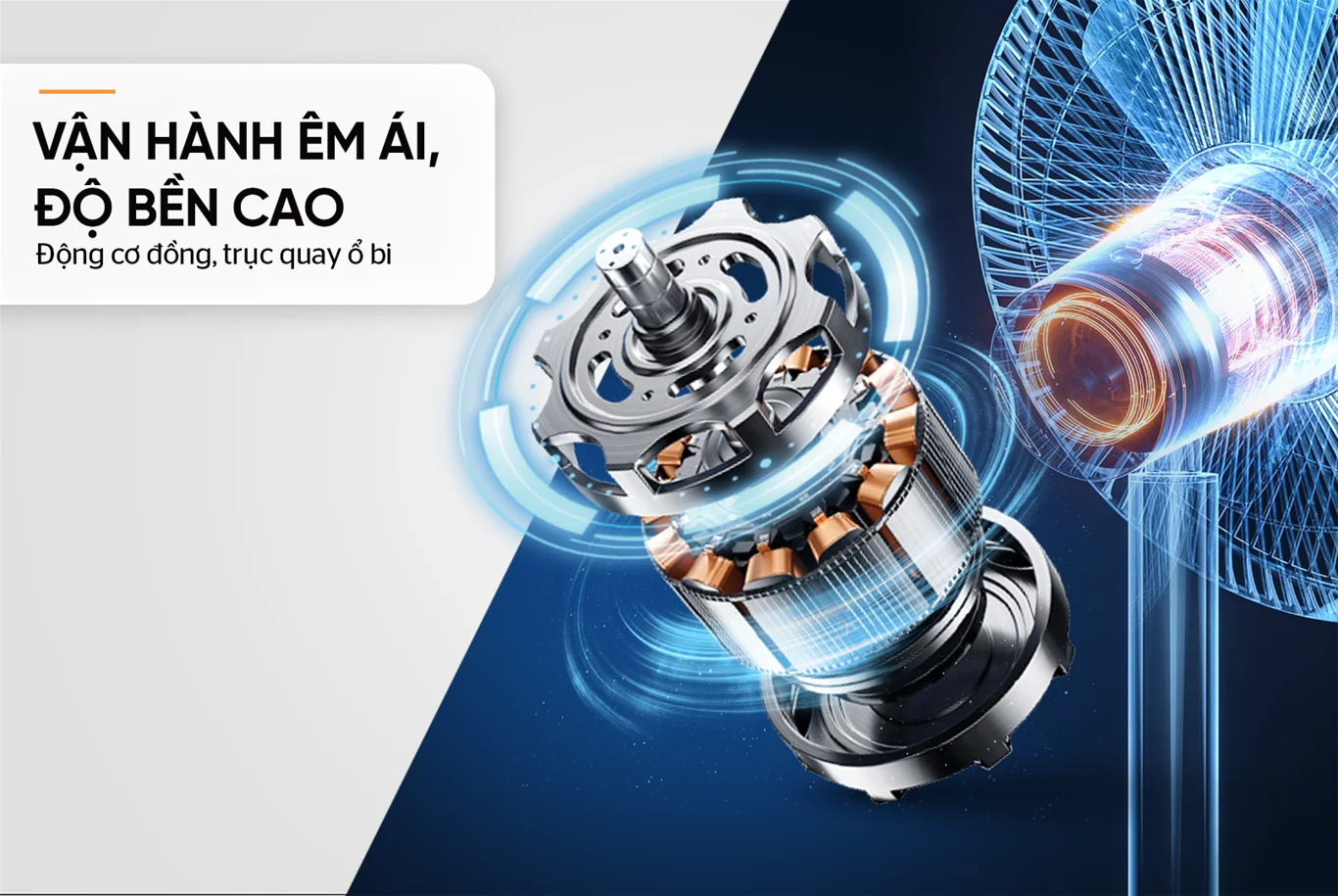 Nhờ cấu tạo này