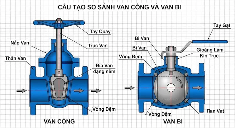 Cấu tạo