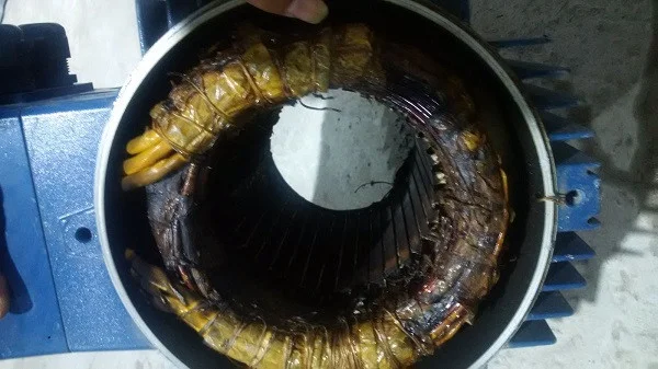 Hình ảnh minh họa 1