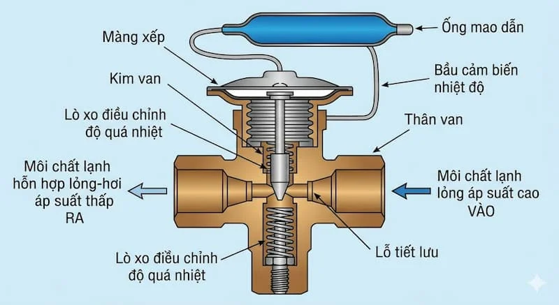 Cấu tạo