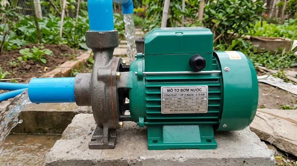Mô tơ bơm nước 1 ngựa là gì?