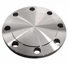 Bích thép đặc D100 2