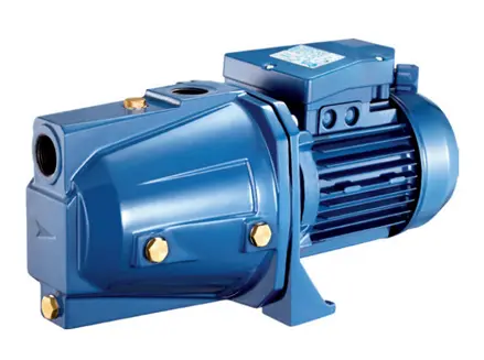 Bơm con lợn 750W 2