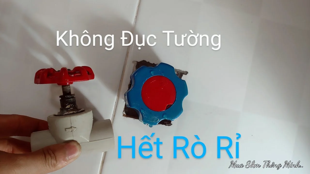 Hình ảnh minh họa (2)