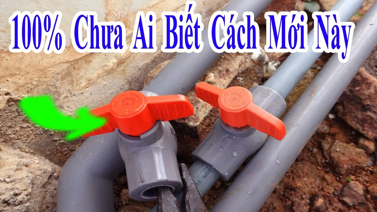 Hình ảnh tham khảo