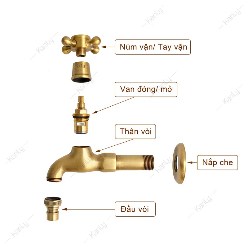 cau-tao-voi-nuoc