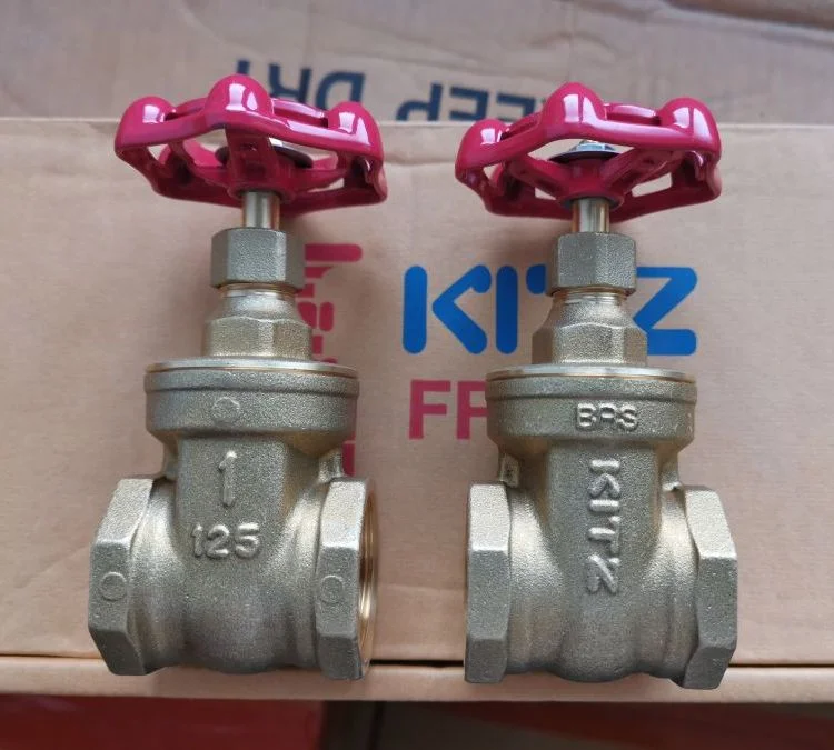Đại lý Van Kitz 2