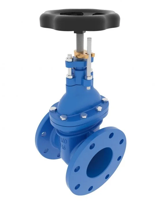 dn-100-valve