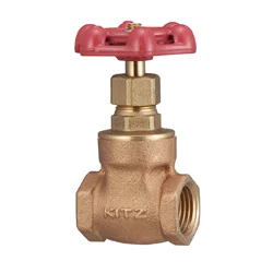 Gate Valve 1