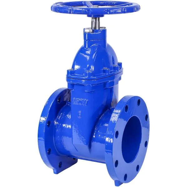 Gate Valve 6 2