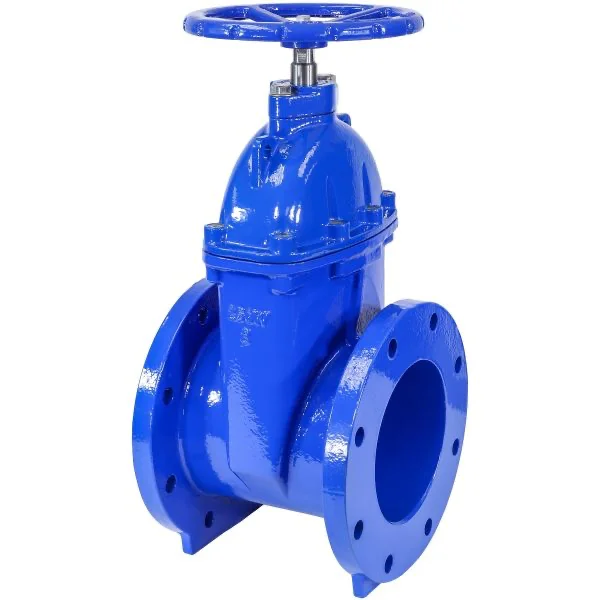 Gate Valve 8 2
