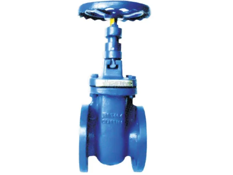 Gate Valve Dn65 2
