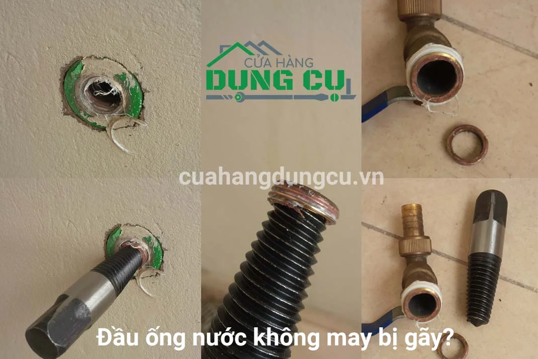 Hình ảnh minh họa (1)