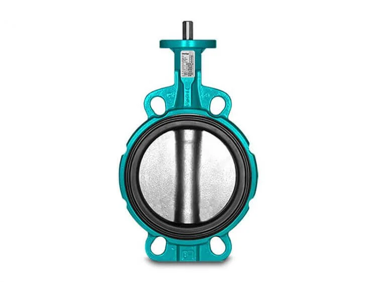 Interapp Valve