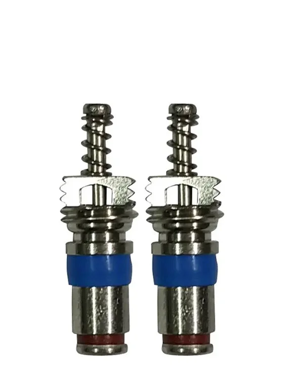 Schrader Valve 2
