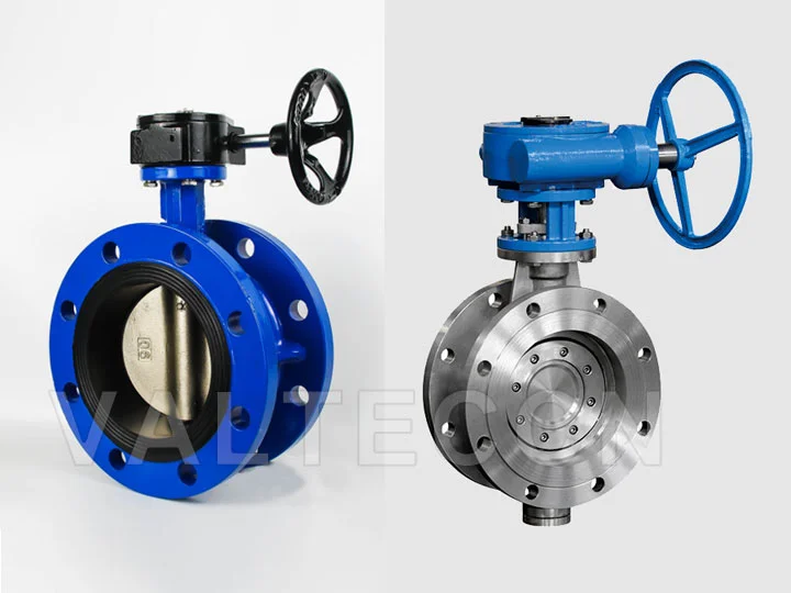 Valve Flanges