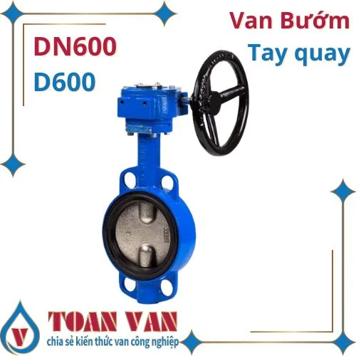 Van 600