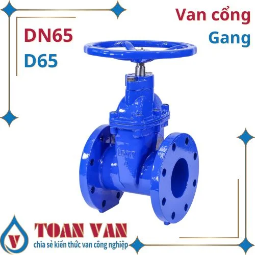 Van 65