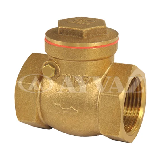 Van nước một chiều