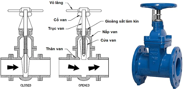 Van Thẳng 2