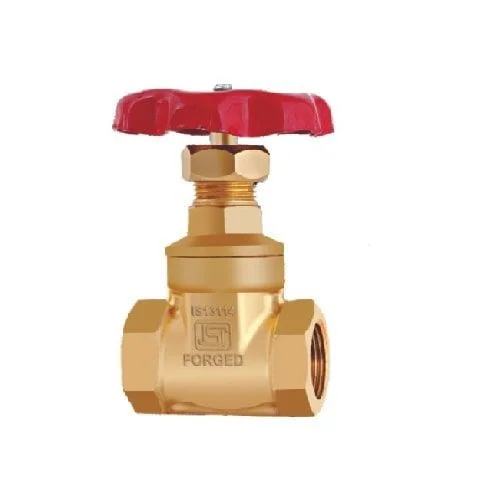 Hình ảnh minh họa (3)