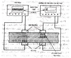 Hình 3: Kỹ Thuật truyền để dò tìm vết