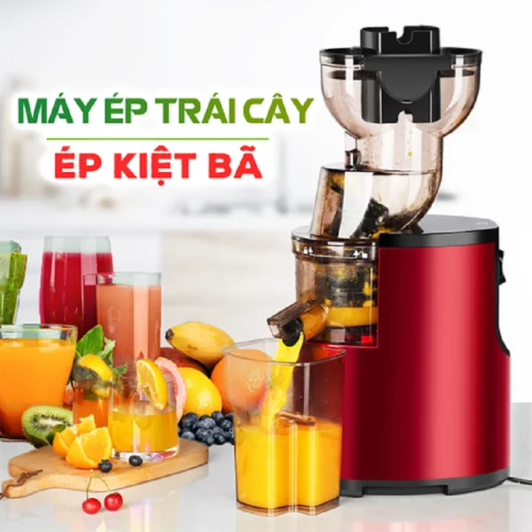 Máy Ép Chậm Hongxin RH312 Nhật Bản slide 5
