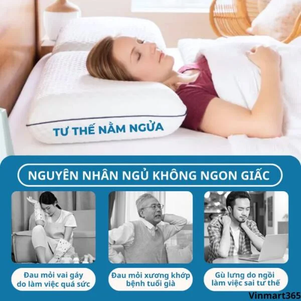 Gối Công Thái Học Ngủ Ngon CECILA Cao Su Non Cao Cấp slide 7