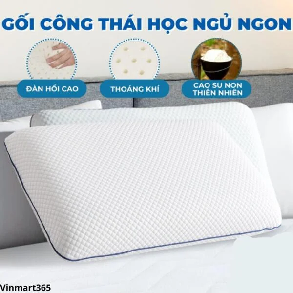 Gối Công Thái Học Ngủ Ngon CECILA Cao Su Non Cao Cấp slide 3