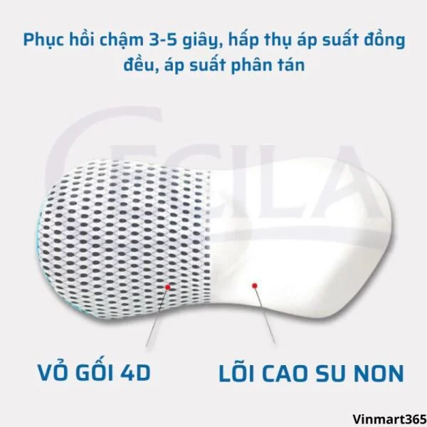 Gối Kê Lưng Cổ CECILA Cao Su Non Chính Hãng slide 4