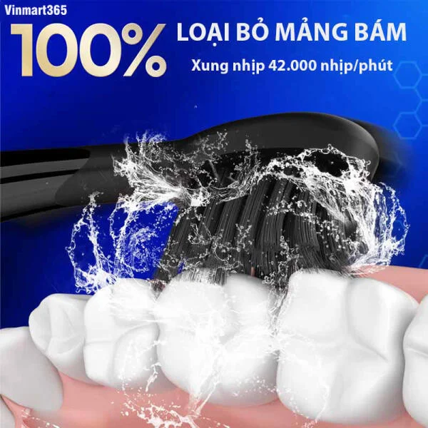 Bàn Chải Điện SEAGO SG-540 slide 4
