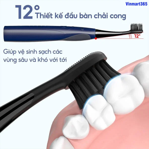 Bàn Chải Điện SEAGO SG-540 slide 7