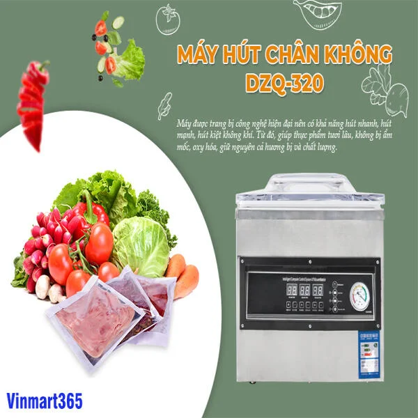 Máy Hút Chân Không Công Nghiệp DZQ320 – 1 Đường Hàn slide 4