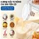 Máy Xay Sữa Hạt Matika Nhật Bản Cao Cấp slide 4